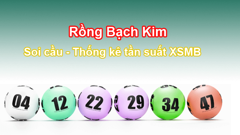 khám phá về rồng bạch kim miền bắc